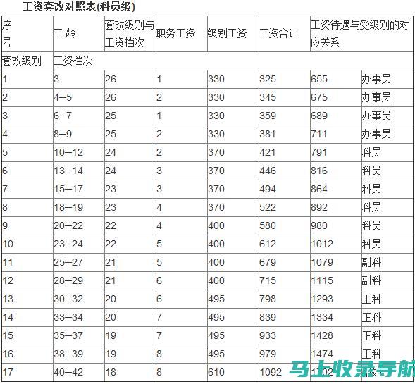 站长职位级别解析：角色定位与职责